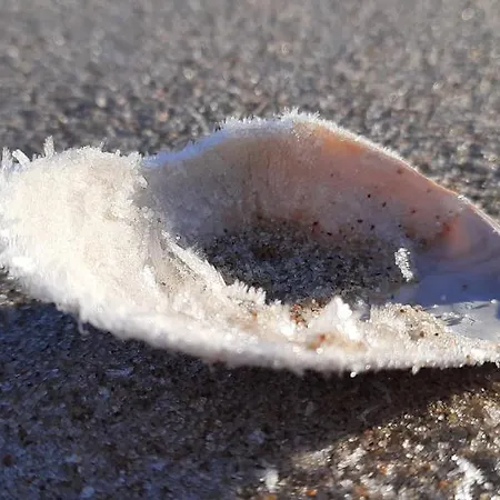 Casa In Centro And Apartmán