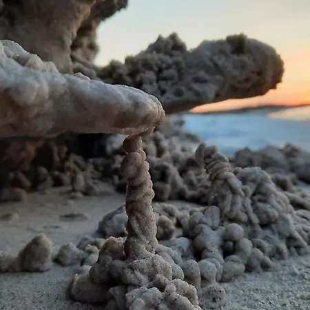 Casa In Centro And Apartmán Leba