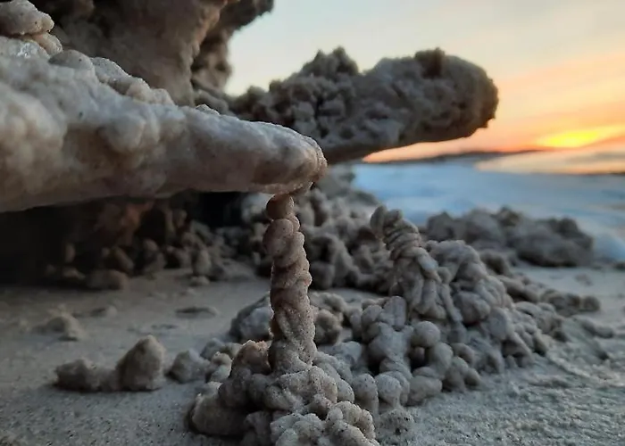 Casa In Centro And Apartman Łeba