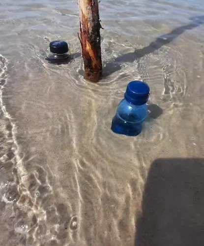 Casa In Centro And Apartman *